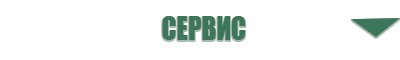 электрод Вертебра Дэнас